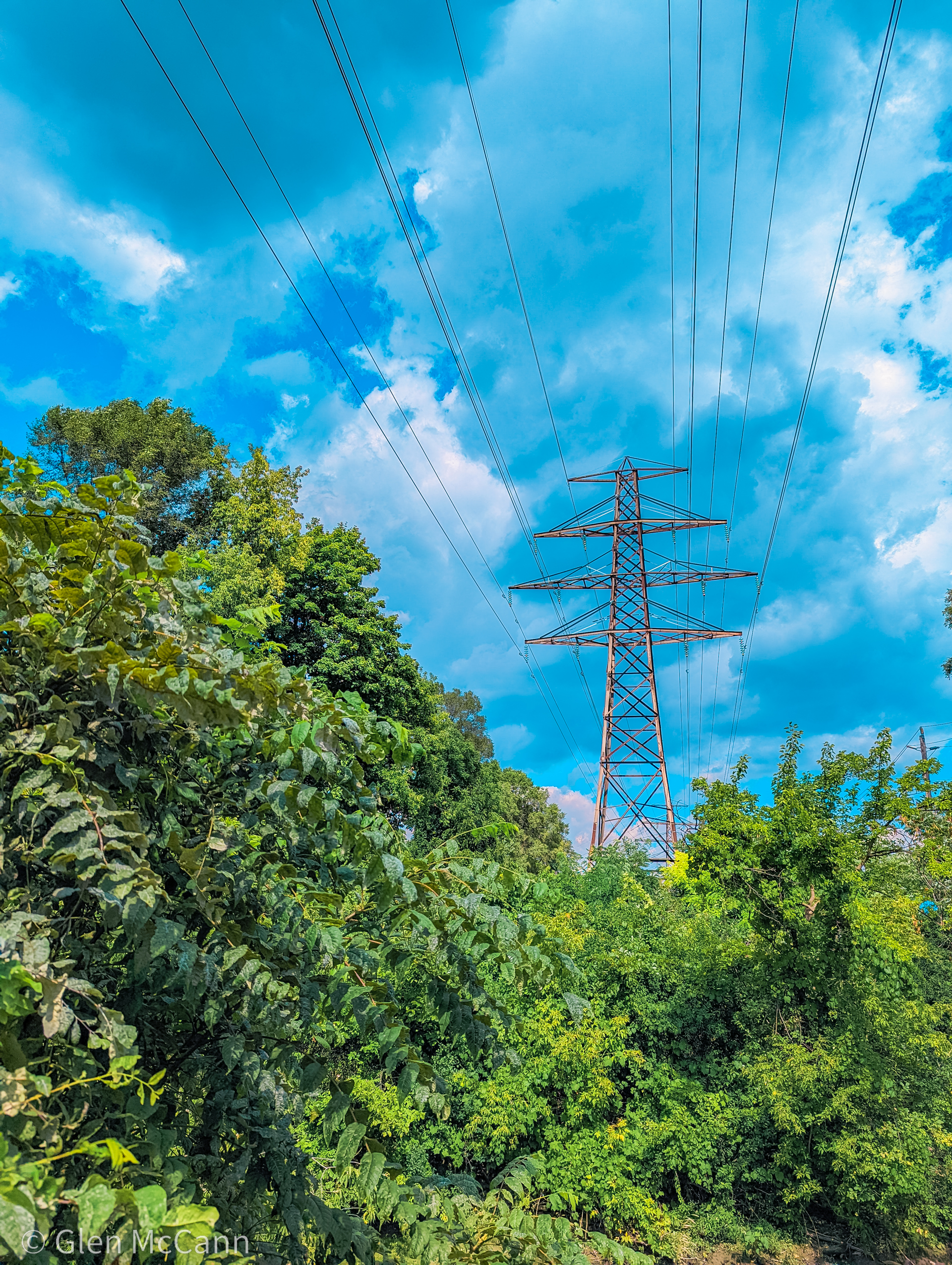 Photo of power lines extending above green bushes into the sky.