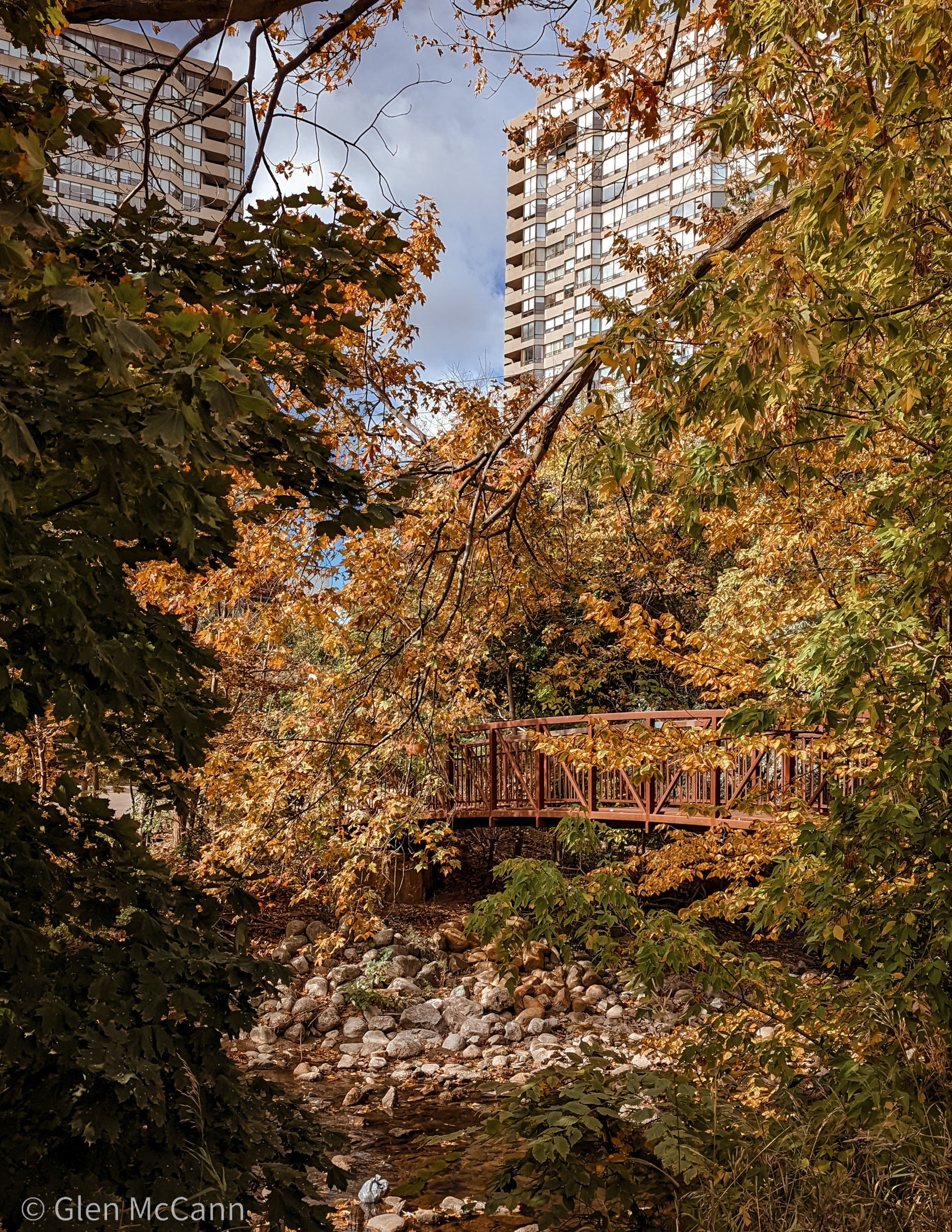Photo of a bridge over a river, obscured by autumn leaves.