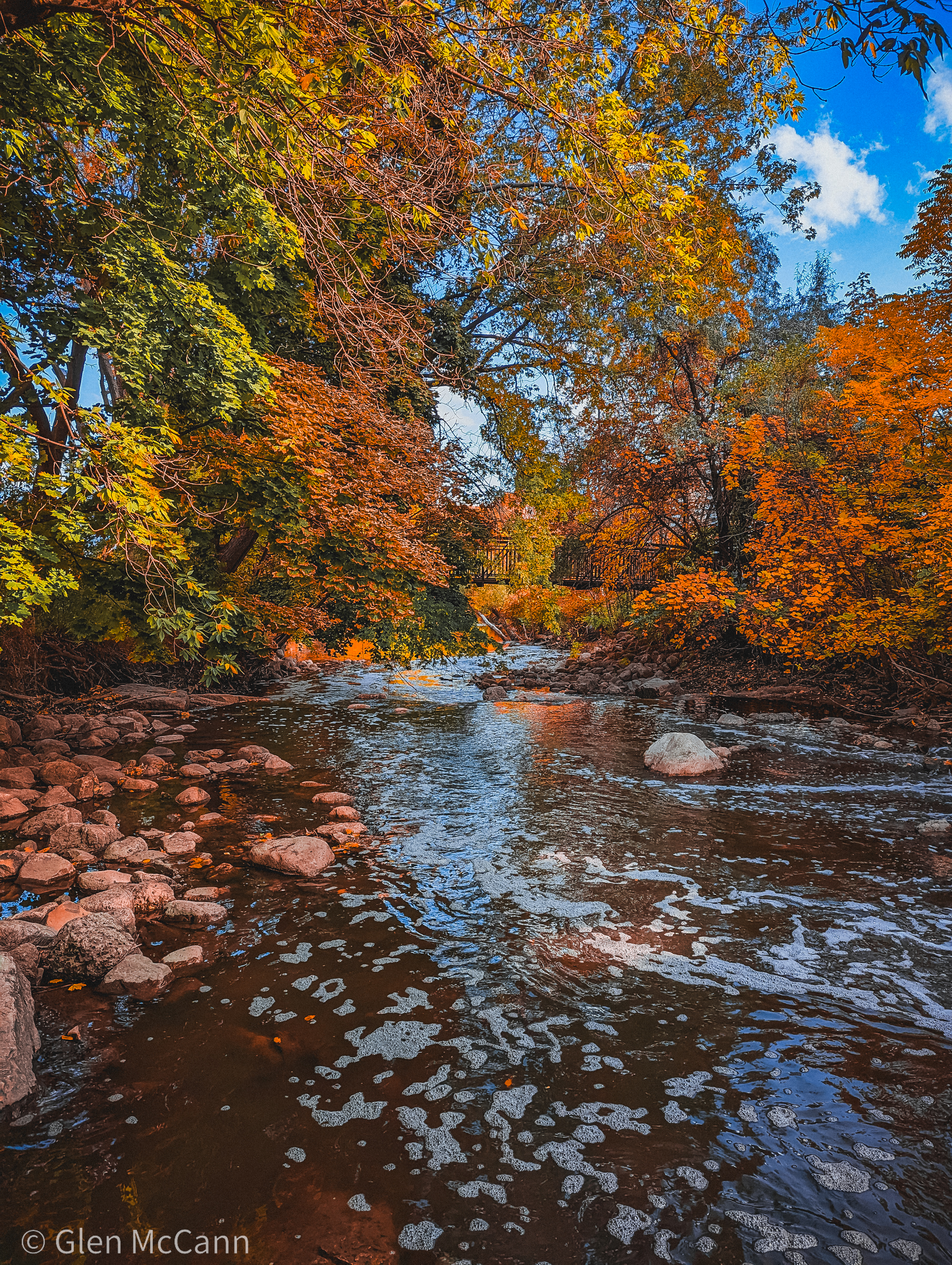 Photo of a bridge from the point of view of the river below, surrounded by fall foliage.