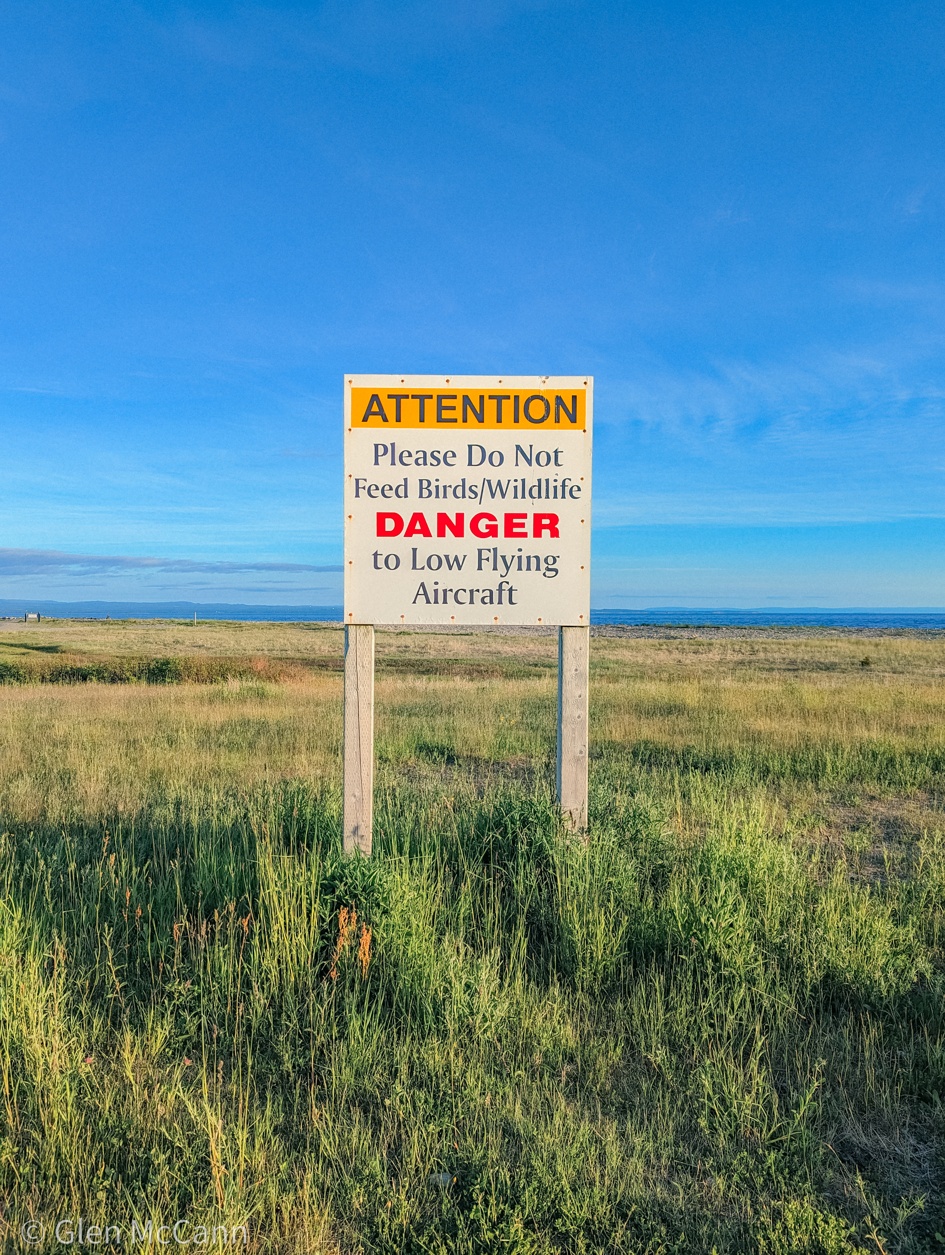 Photo of a sign in an empty field that reads 'ATTENTION Please Do not Feed Birds/Wildlife DANGER to Low Flying Aircraft'