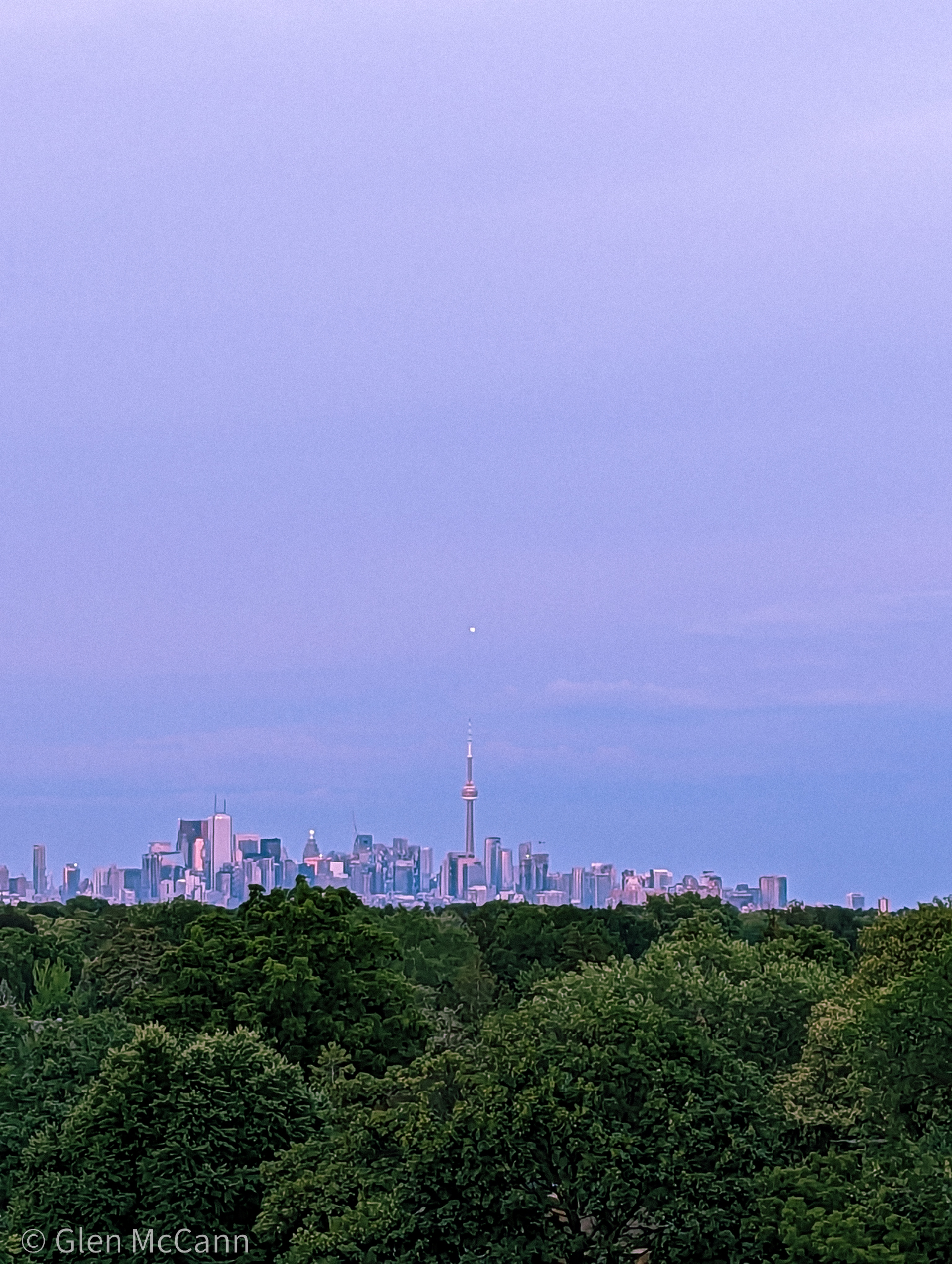Skyline photo of Toronto featuring trees in the foreground and the CN tower in the background, position to be pointing directly up at the moon.