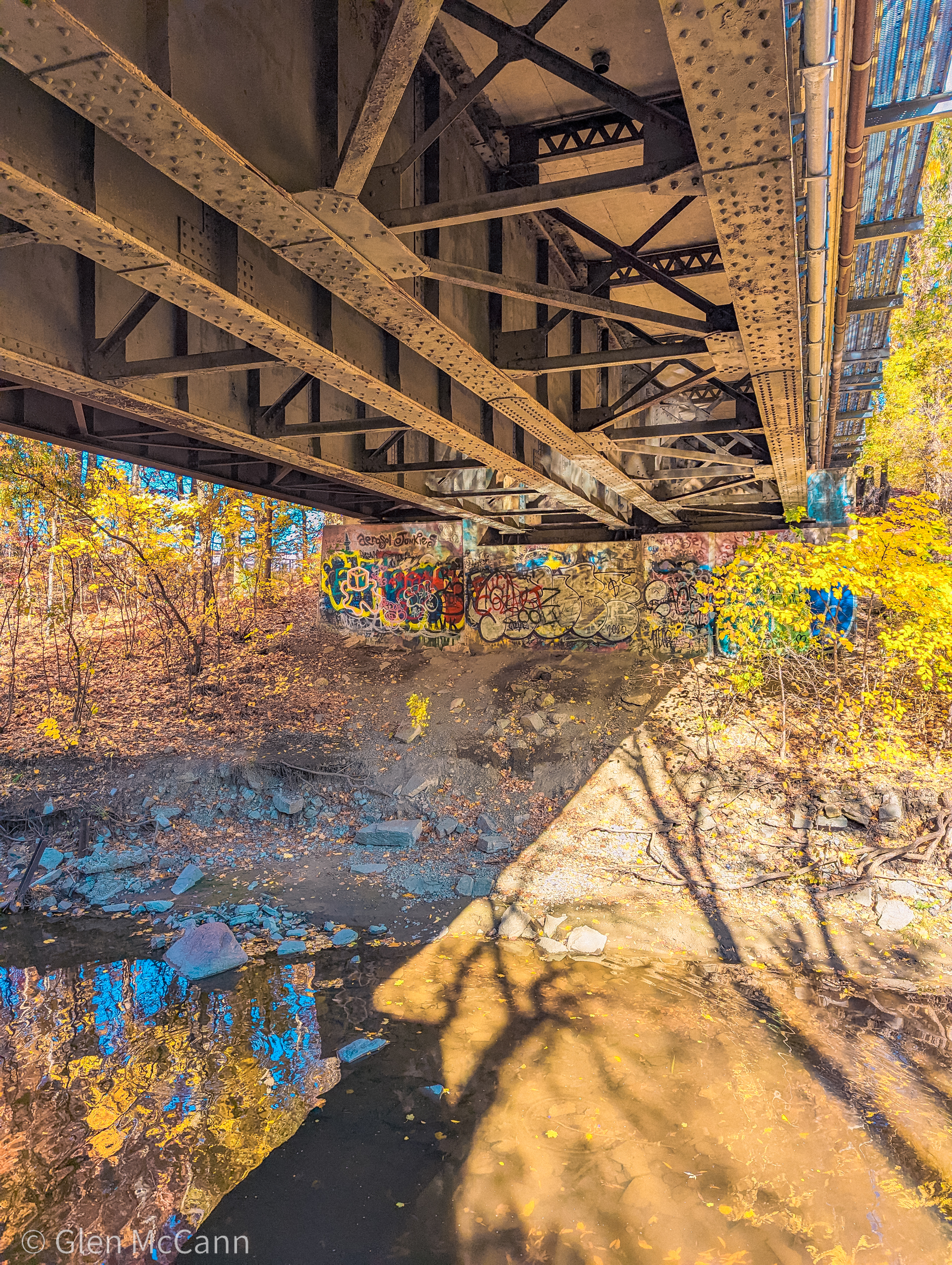 Photo of the underside of a bridge featuring colourful graffiti and foliage.